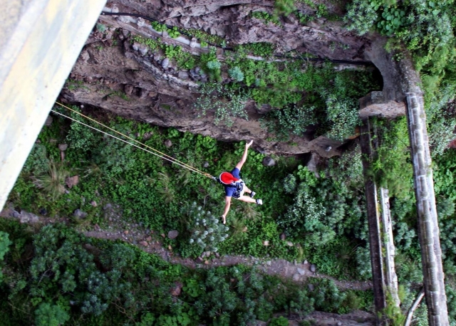 bungee