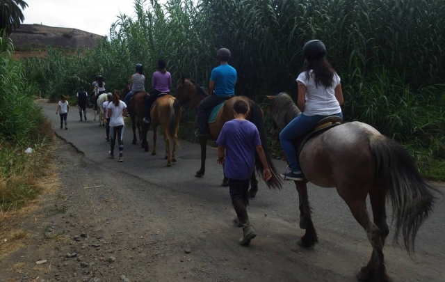  Equitazione 