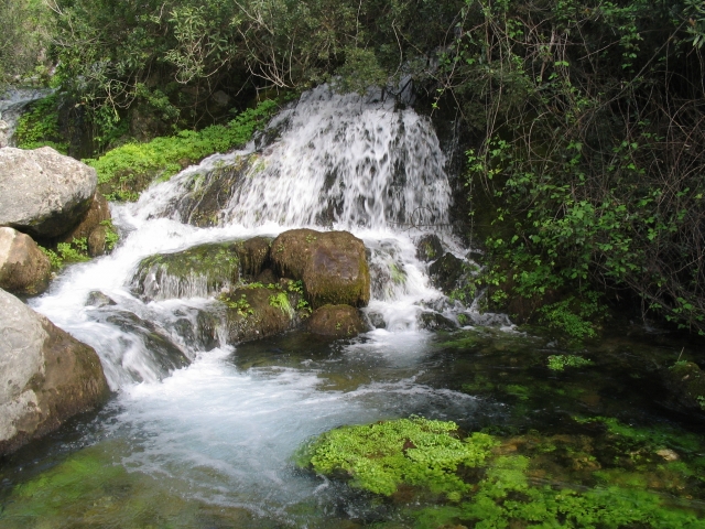 Rio Majaceile