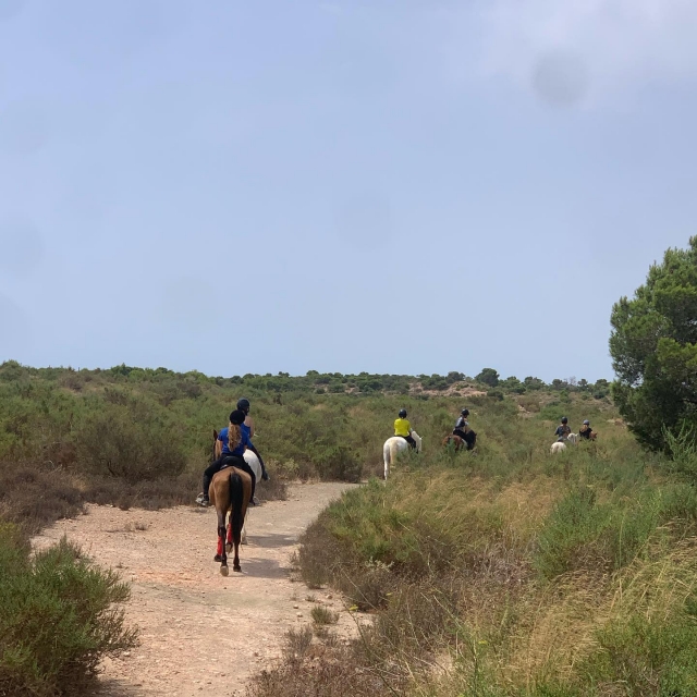 Ruta a caballo en Alicante
