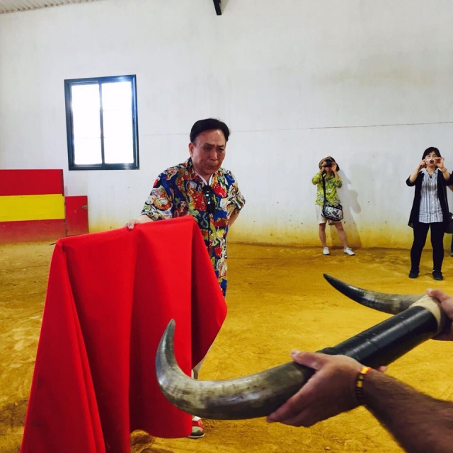 Stierkampf während des Besuchs