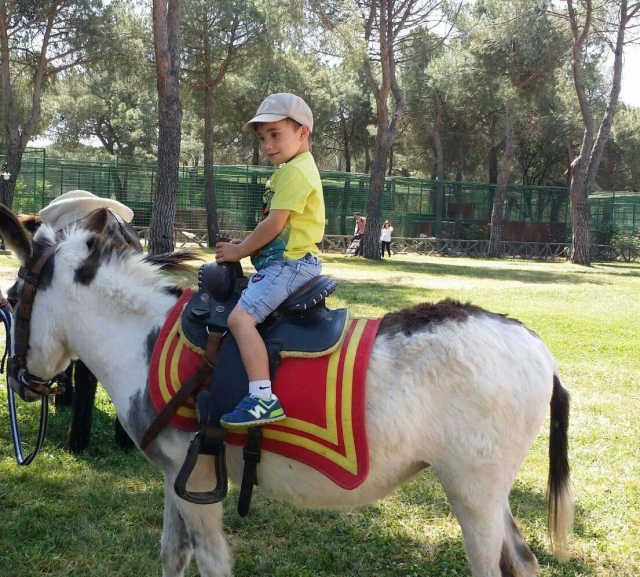 Montado en el caballo