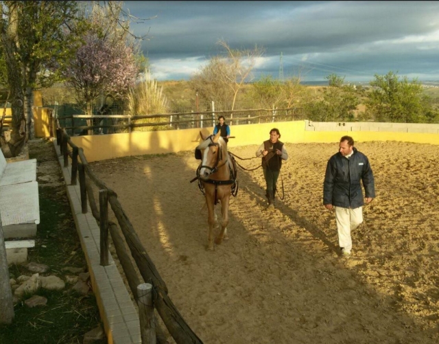 Trabajo con el caballo en pista externa