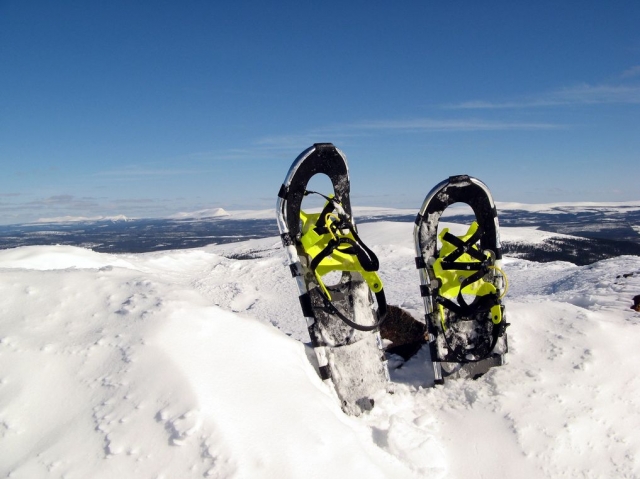 Raquetas clavadas en la nieve