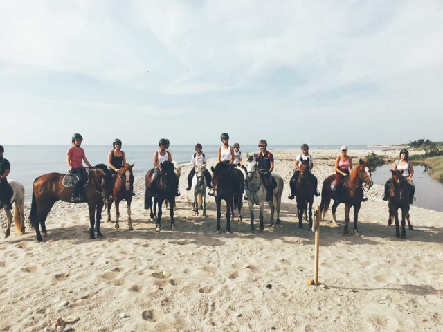 En la playa con los caballos