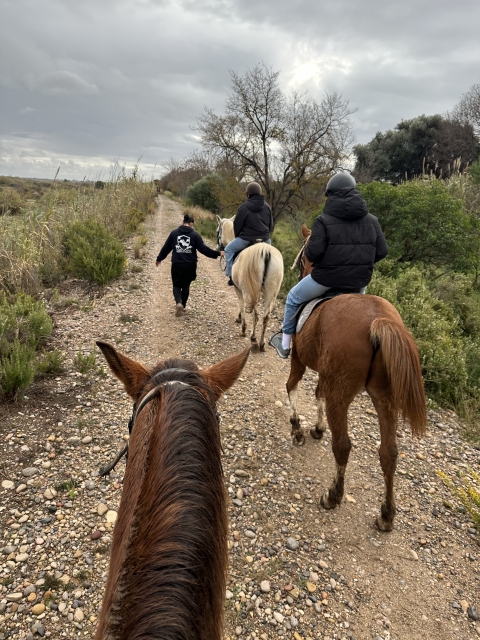 Opinione di Jesús su Passeggiata a cavallo attraverso Almazora e Burriana per 1 ora
