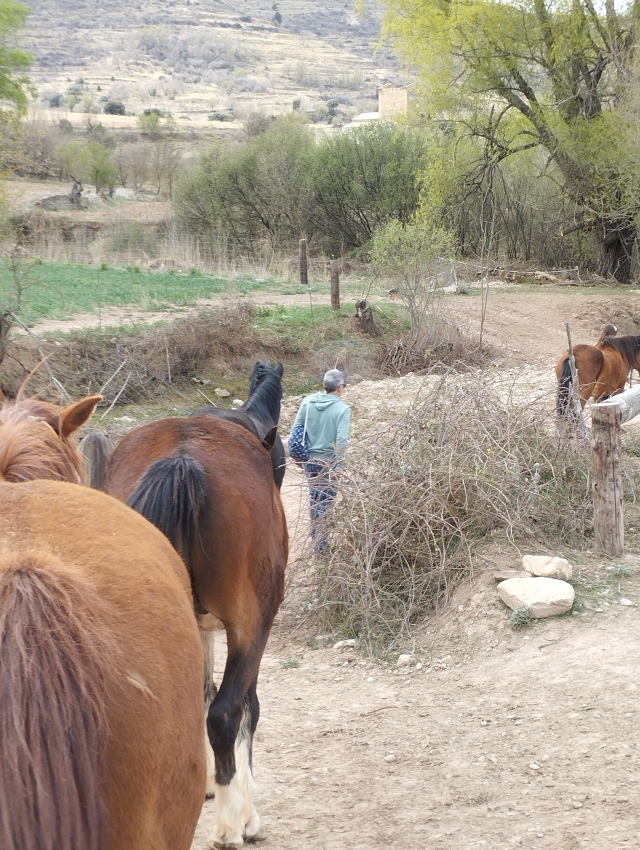 Avis de Diego concernant Parcours et cours d'équitation à Morella 90 minutes