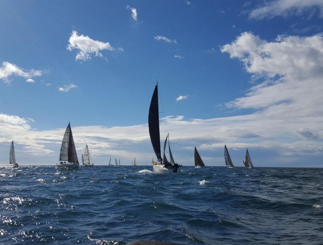 Barcos de vela en competicion