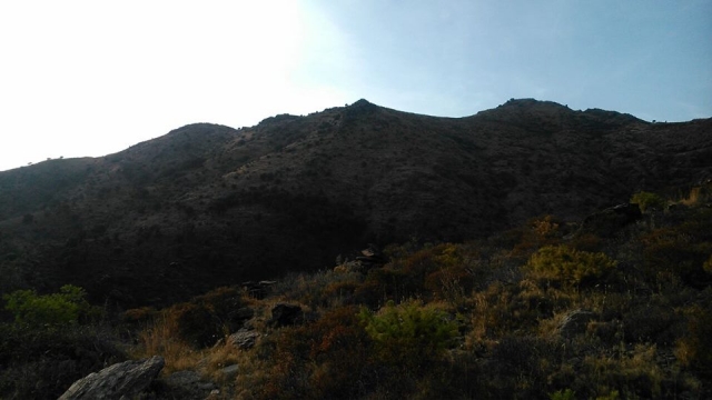  il paesaggio montano 