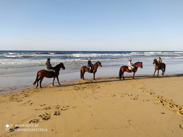 Grupo a caballo por la playa
