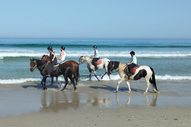 Por la orilla del mar