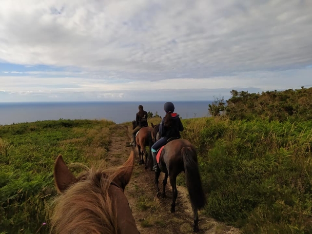 Ruta por el sendero