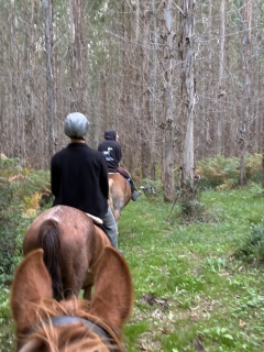 res_o-65909-rutas-a-caballo_de_james-ogilvie_img-0456_17597377834672.jpeg