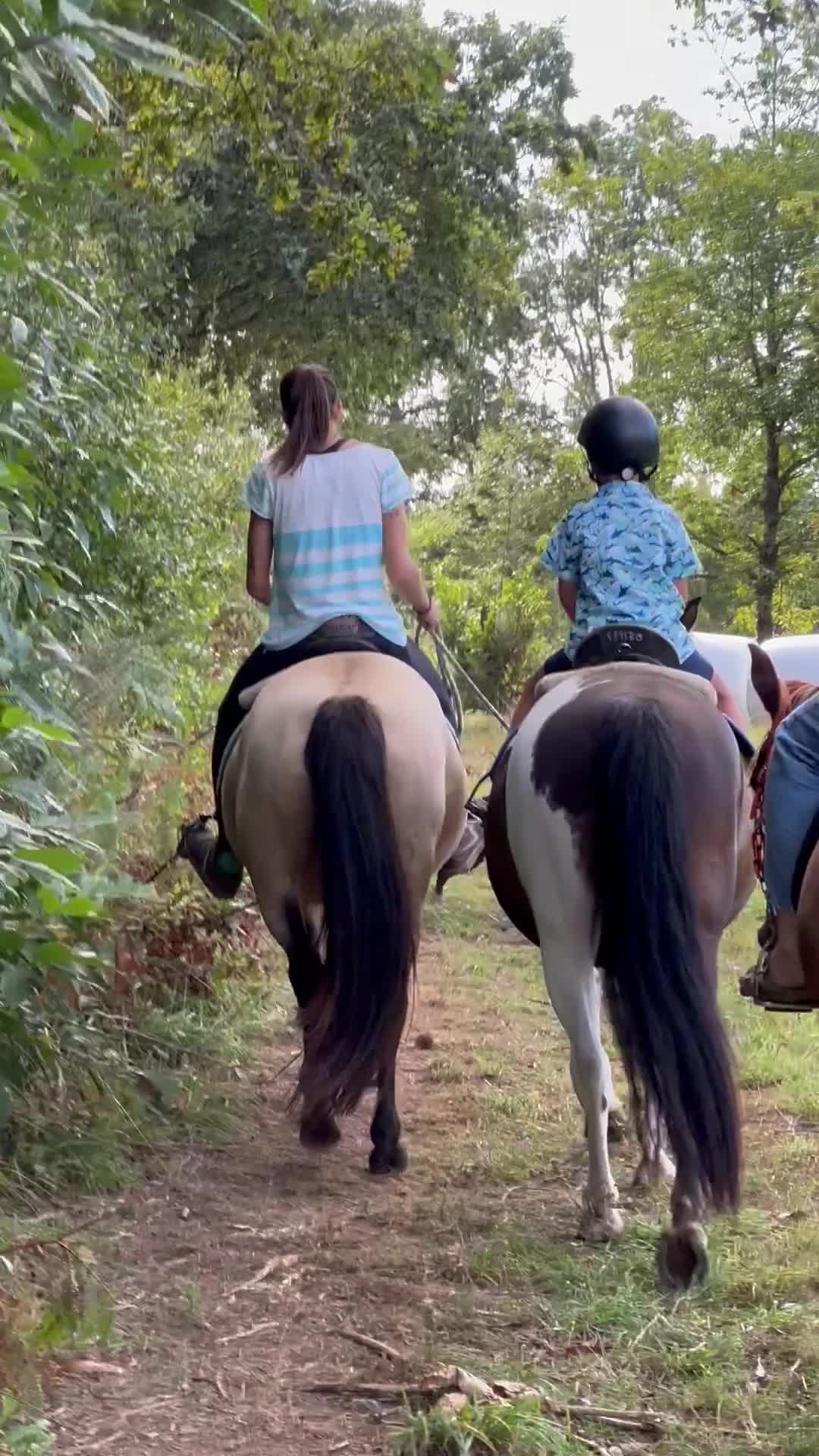 Opinión de Cristina sobre Paseo a Caballo en A Coruña de 1h 30min