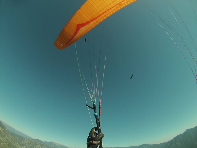  parapente 