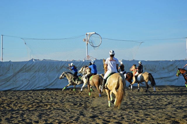  horseball in the sand 