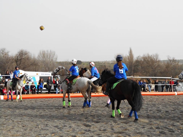  horseball game