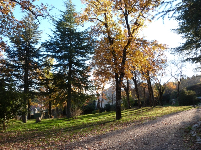 estancia