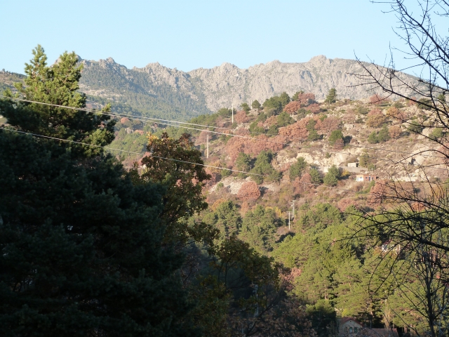 el campo