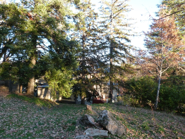 campo