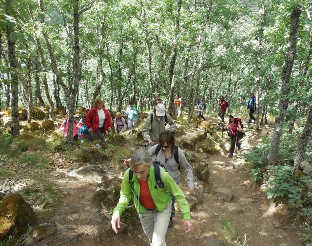  Caminhadas 