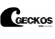 Geckos Surf & Sup