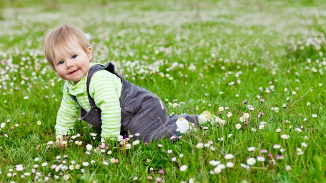 baby-child-children-kid-happy-play-cute-lovely-joy-garden-grass-flowers-baby-child.jpg