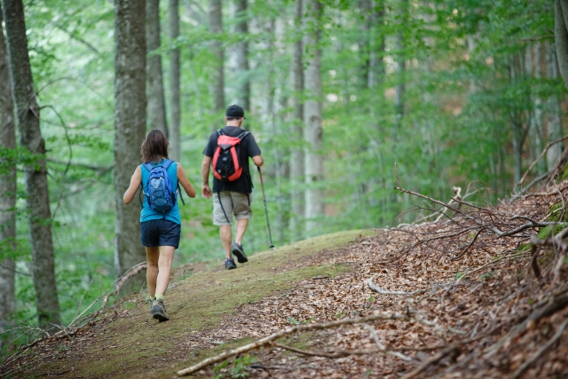 Valvanera Trail 
