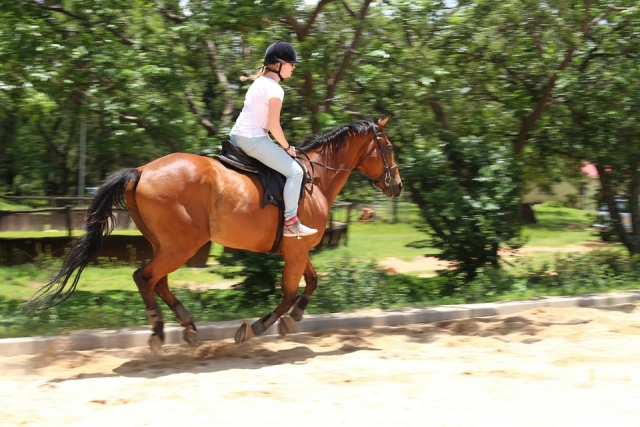 cabalgamarra