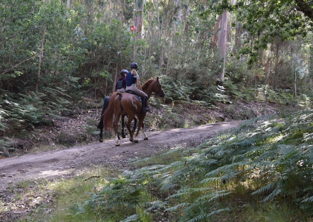 e-19732543-paseando-a-caballo-en-negreira15247298589163.jpg