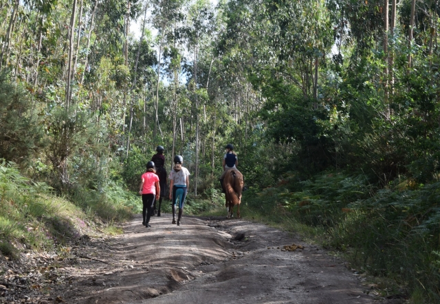 e-19732543-por-el-camino-de-negreira-a-caballo15247298592018.jpg