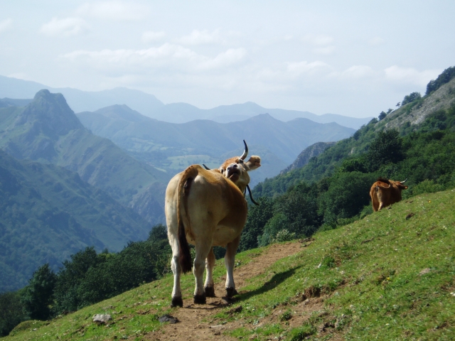 Excursión a la Sierra de Sueve