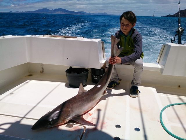 Pescando