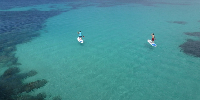 Paddel surf en aguas cristalinas