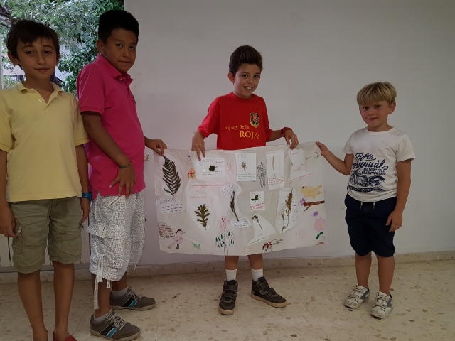 Explicando lo aprendido
