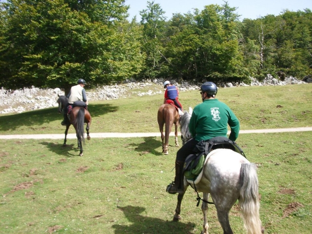  Passeggiate in gruppo 