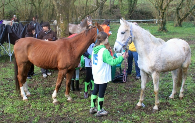 Cuidando del caballo