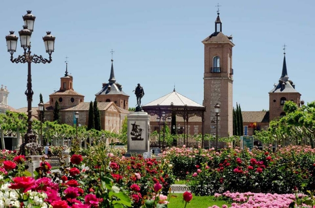 Conoce nuestras plazas