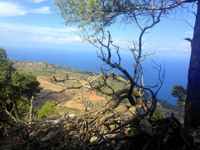 El mar desde Tramuntana