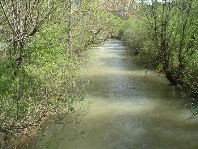 e-19733266-visita-el-rio-jucar14661619541364.jpg