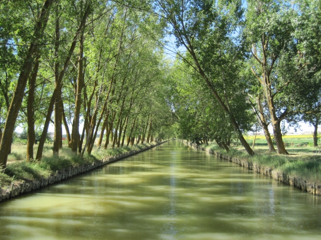 e-19733269-canal-de-castilla14661570326998.jpg