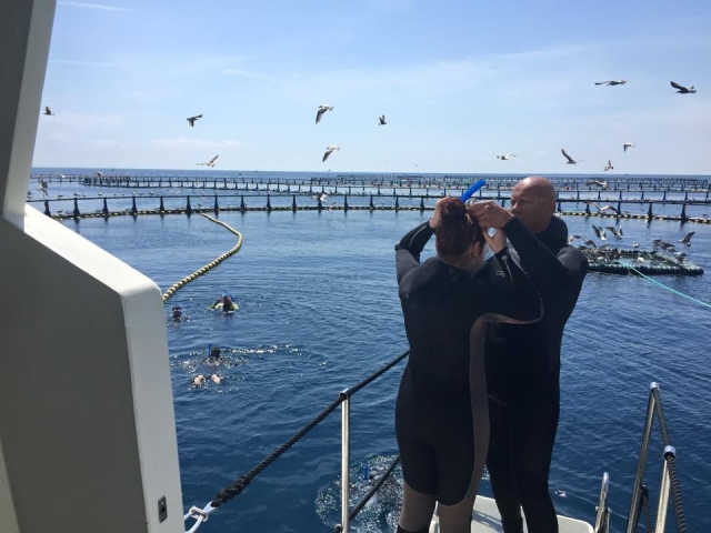 Preparandonos antes de entrar al agua