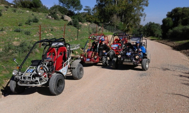 Buggie malaga