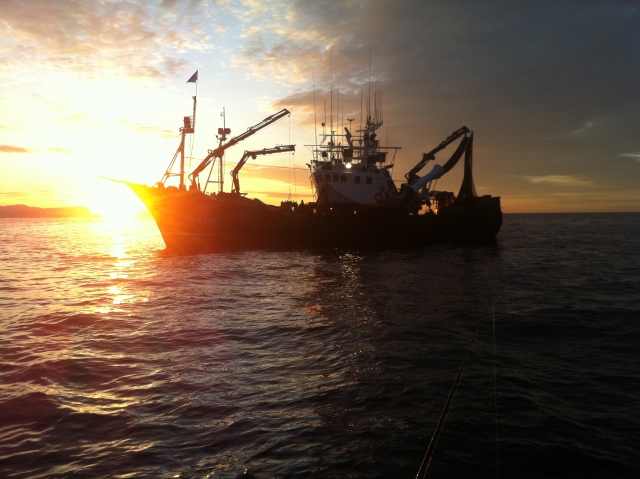 Salidas al atardecer