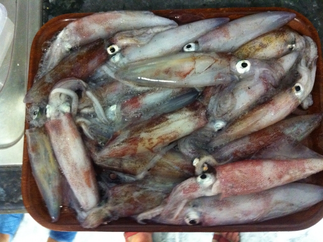 Pesca del calamar
