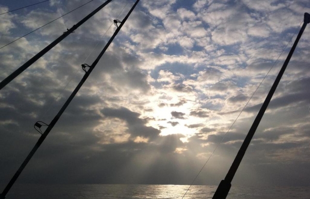 Salidas en barco
