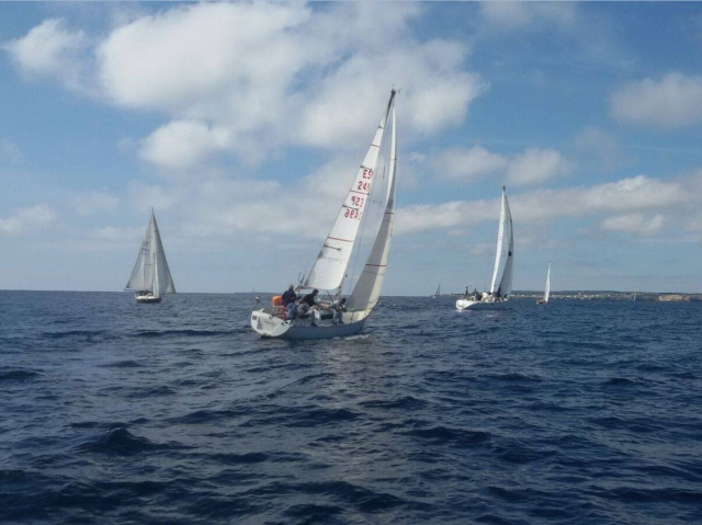 Veleros durante la regata