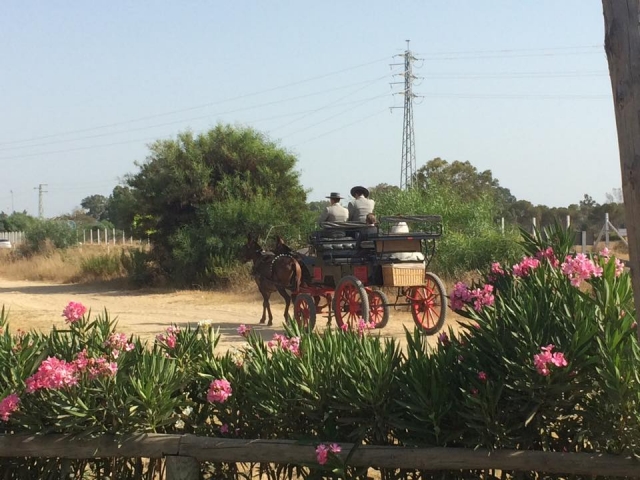 Las mejores rutas a caballo