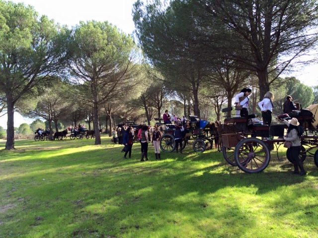 Recorridos en coches tirados por caballos