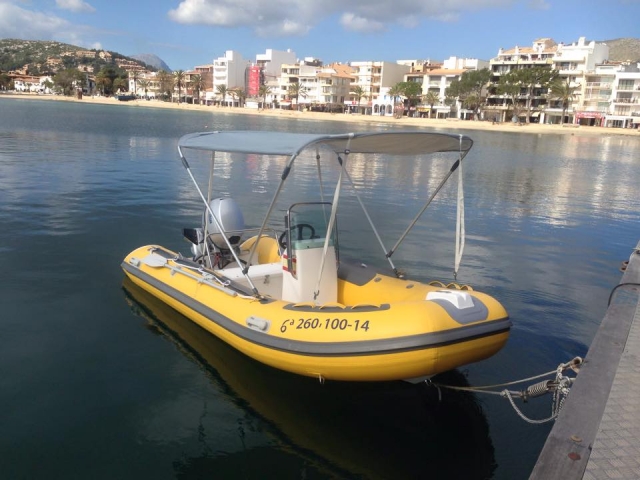  我们的十二生肖 